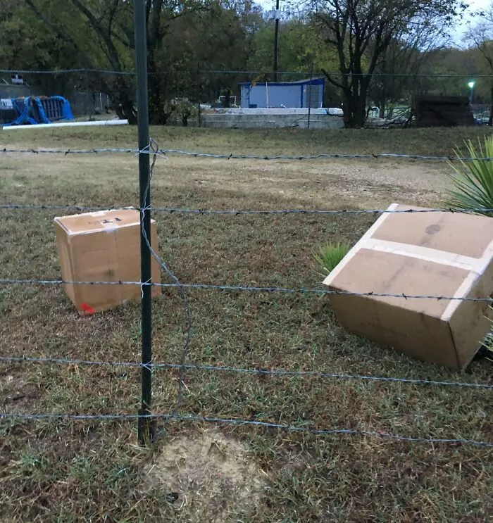 Cajas atrapadas en una cerca de alambre de púas en un campo con césped y árboles al fondo, situaciones complicadas de padres y madres.