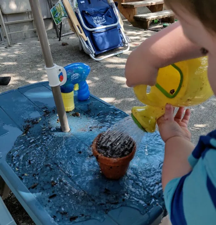 I Give Him His Own Pot Of Dirt To Water Now, After He Waterboarded My Poor Succulents To Death