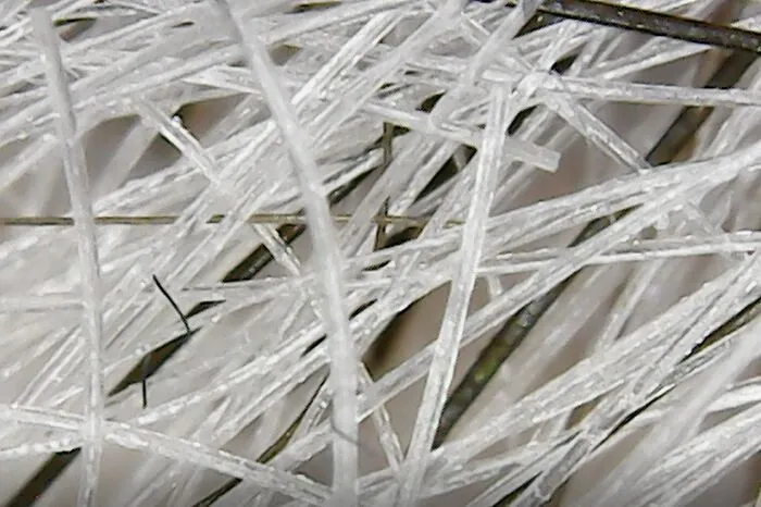 Looked At My Hair Under A Microscope And My Gray Hair Is Actually Clear