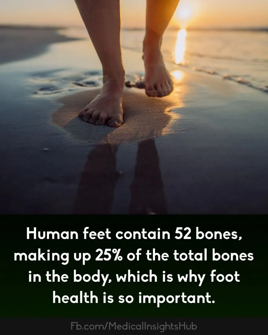 50 Cool And Interesting Medical Facts You Might Not Know About Your Own Body And Health