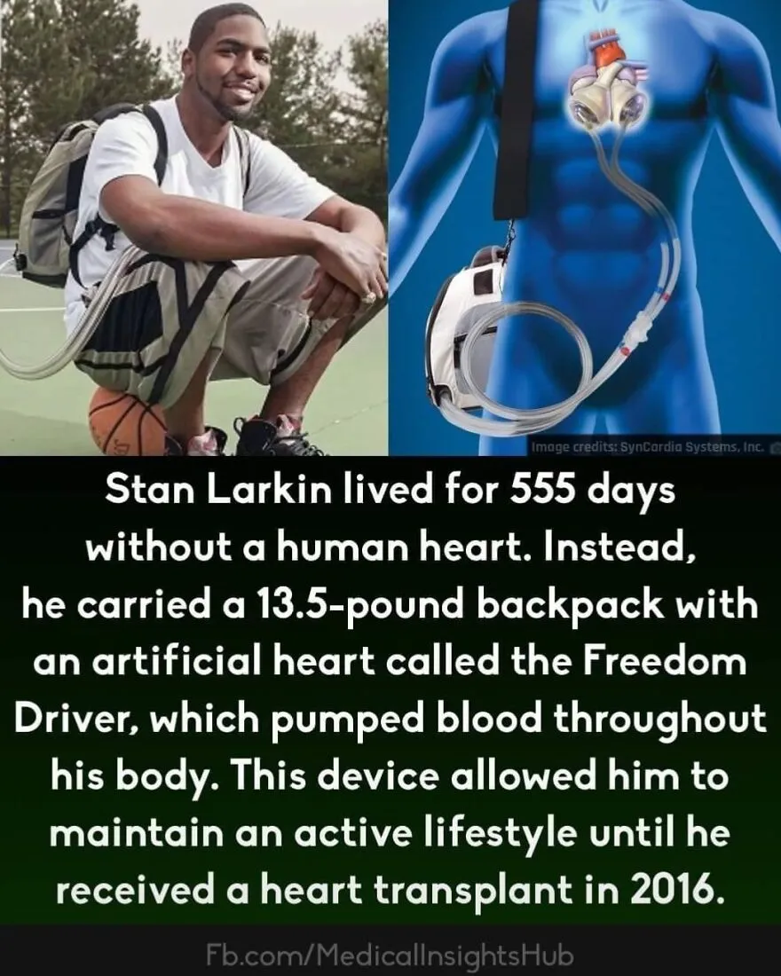 50 Cool And Interesting Medical Facts You Might Not Know About Your Own Body And Health