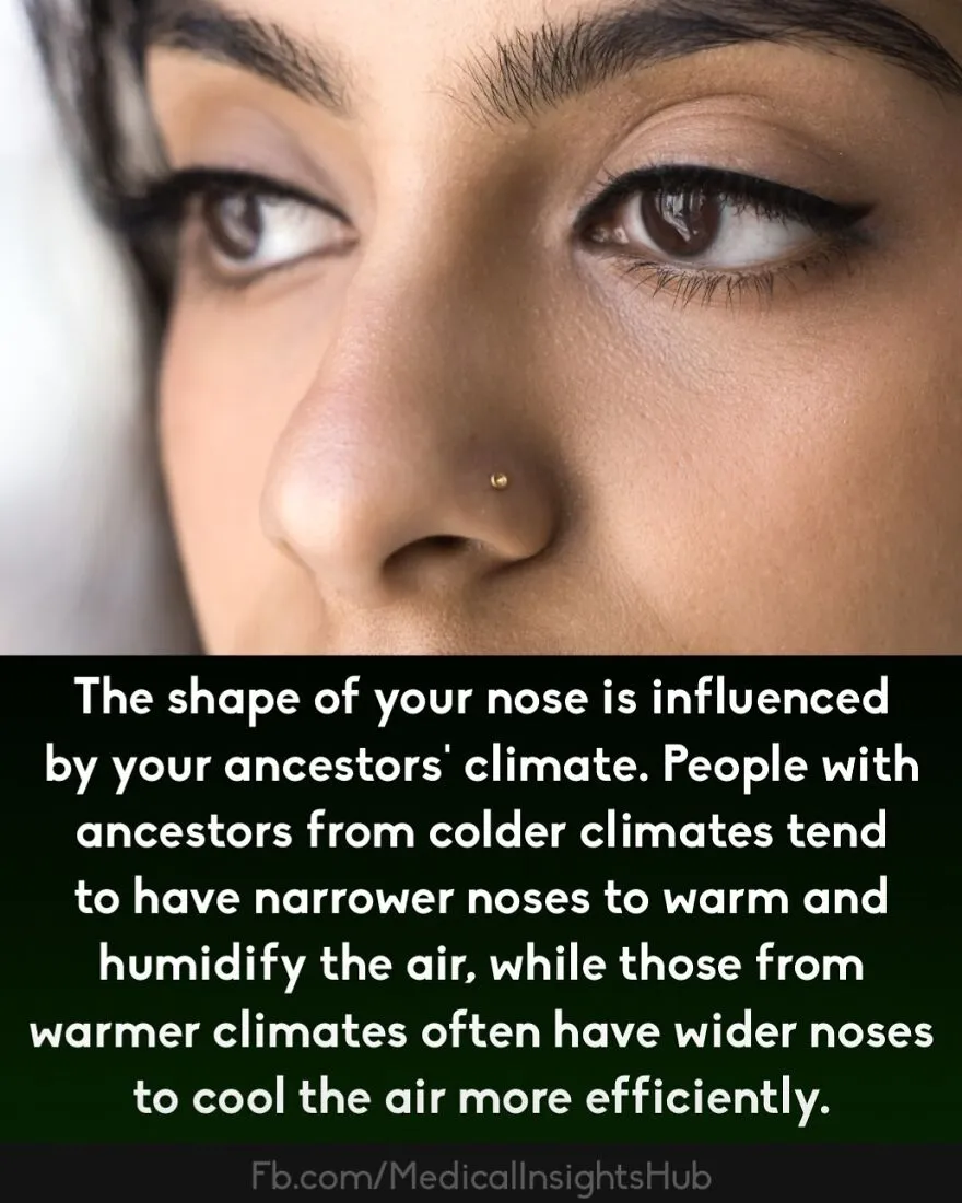 50 Cool And Interesting Medical Facts You Might Not Know About Your Own Body And Health