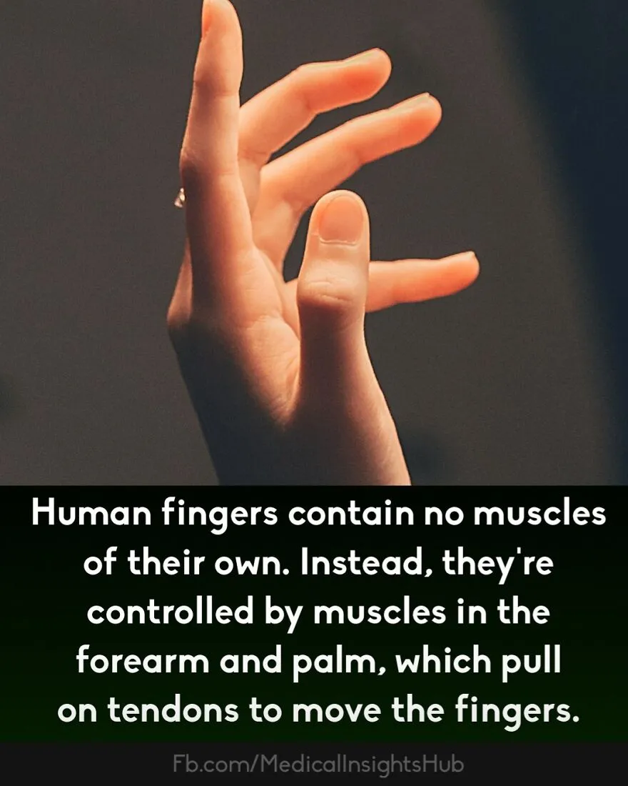 50 Cool And Interesting Medical Facts You Might Not Know About Your Own Body And Health