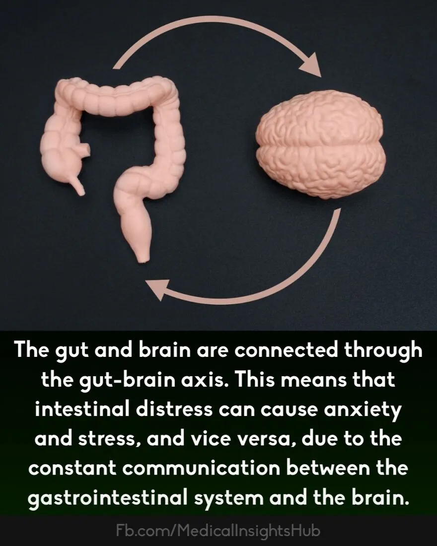 50 Cool And Interesting Medical Facts You Might Not Know About Your Own Body And Health