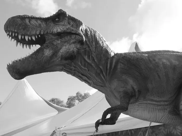 A T-Rex Could See Really Well