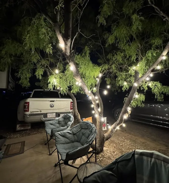 If Your Tree Is Feeling A Bit Bare After Dark And You Reckon It Deserves A Starring Role In Your Backyard's Nightly Ambiance, You Should Consider Giving It A Luminous Hug With These <a Style="Display:inline;" Href="Https://Www.amazon.com/Brightever-Shatterproof-Waterproof-Backyard-Dimmable/Dp/B0b4nt4j28?ie=utf8&th=1&linkcode=ll1&tag=bpsheep-20&linkid=07cc94f58e3455a02452d4be19c15b89&language=en_us&ref_=as_li_ss_tl" Target="_blank"><span Style="Font: Inherit; Color: #d74b1f;"> LED String Lights</Span>
