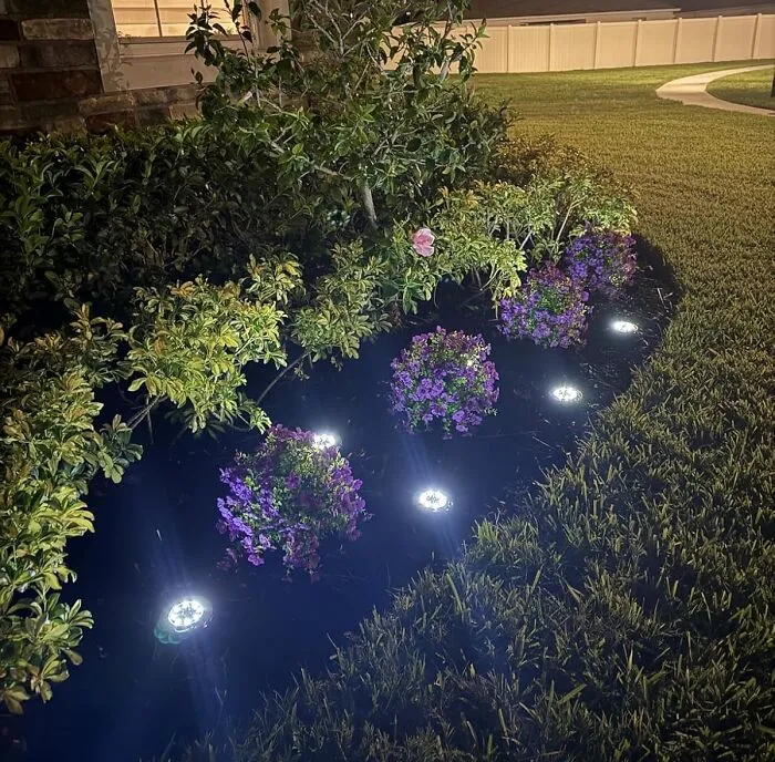 To Keep Your Flowerbeds Looking Instagram-Worthy Even After Sunset And Prevent Any Guest (Or Yourself, No Judgment) From Taking An Unexpected Tumble On The Path, You Should Totally Check Out These Ground-Hugging <a Style="Display:inline;" Href="Https://Www.amazon.com/Waterproof-Upgraded-Outdoor-Ground-Landscape/Dp/B08t5w11xg?ie=utf8&th=1&linkcode=ll1&tag=bpsheep-20&linkid=5164a278564e4a8945e6cc318e8f8dca&language=en_us&ref_=as_li_ss_tl" Target="_blank"><span Style="Font: Inherit; Color: #d74b1f;"> Solar In-Ground Lights</Span>