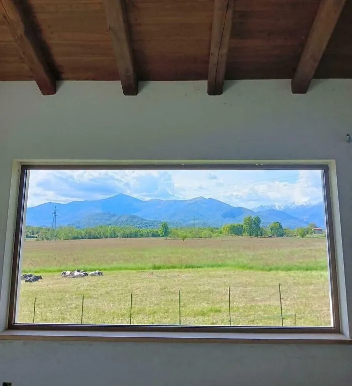 This Window Looking Like A Painting