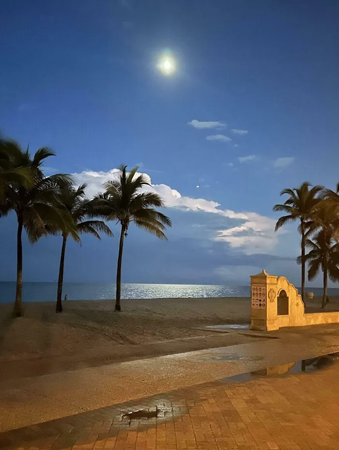 Photo I Took Of Florida Moonlight Looks Like A Hollywood Set Backdrop