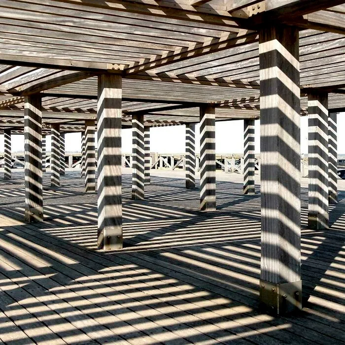 Shadow Play