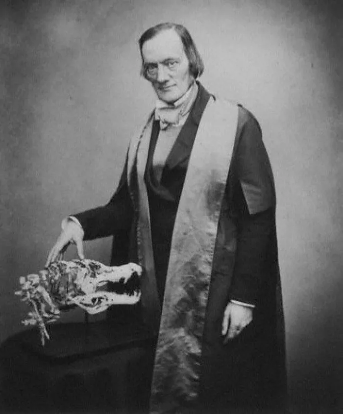 The Word "Dinosaur" Was Only Recognised In 1841