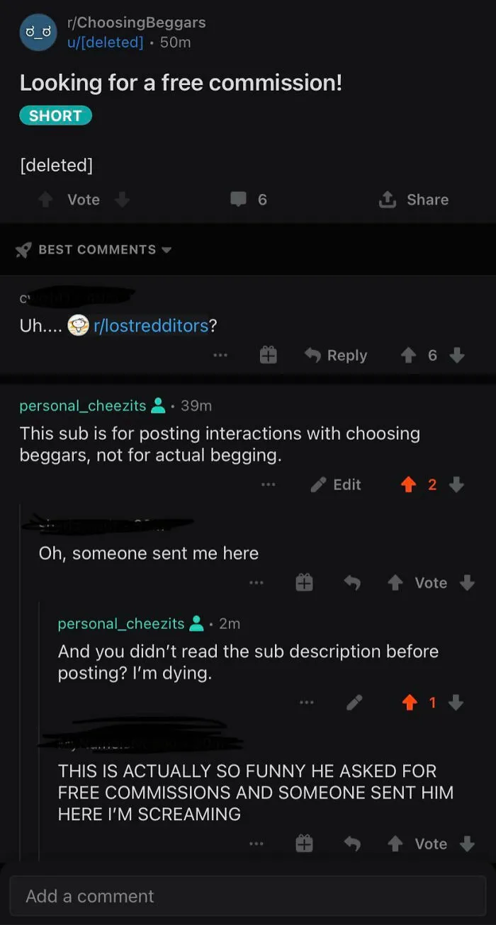 Actual Beggar Shows Up To R/Choosing Beggars To Ask For Free Art Comission
