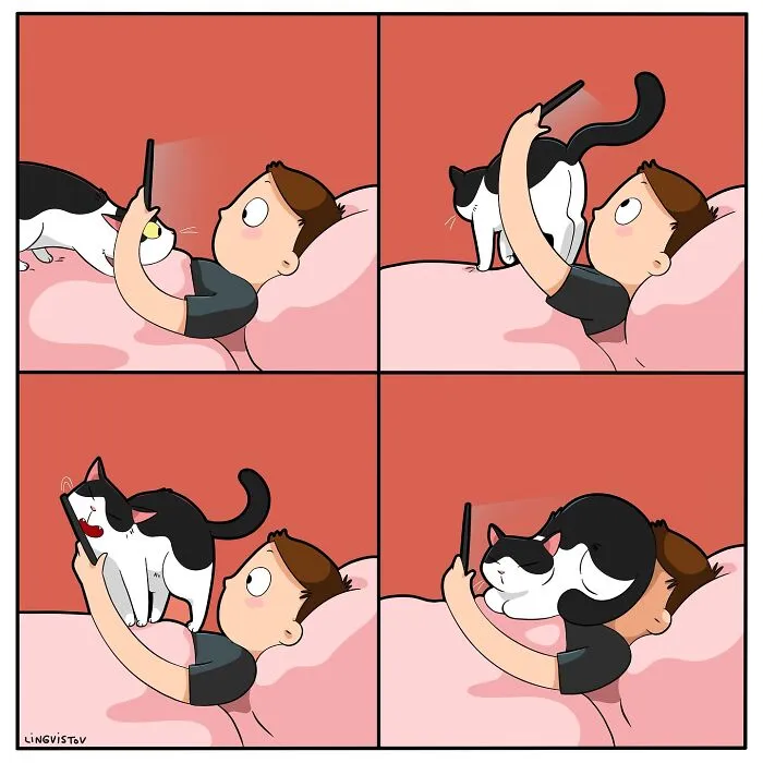 45 Funny And Relatable Comics About The Reality Of Having A Cat By Lingvistov (New Pics)