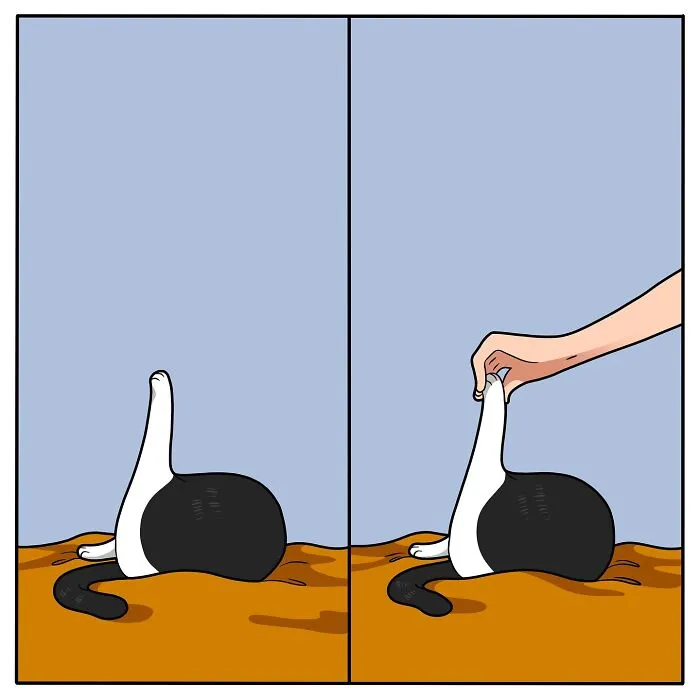 45 Funny And Relatable Comics About The Reality Of Having A Cat By Lingvistov (New Pics)