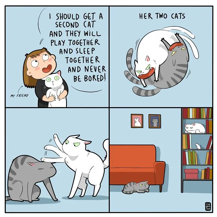 45 Funny And Relatable Comics About The Reality Of Having A Cat By Lingvistov (New Pics)