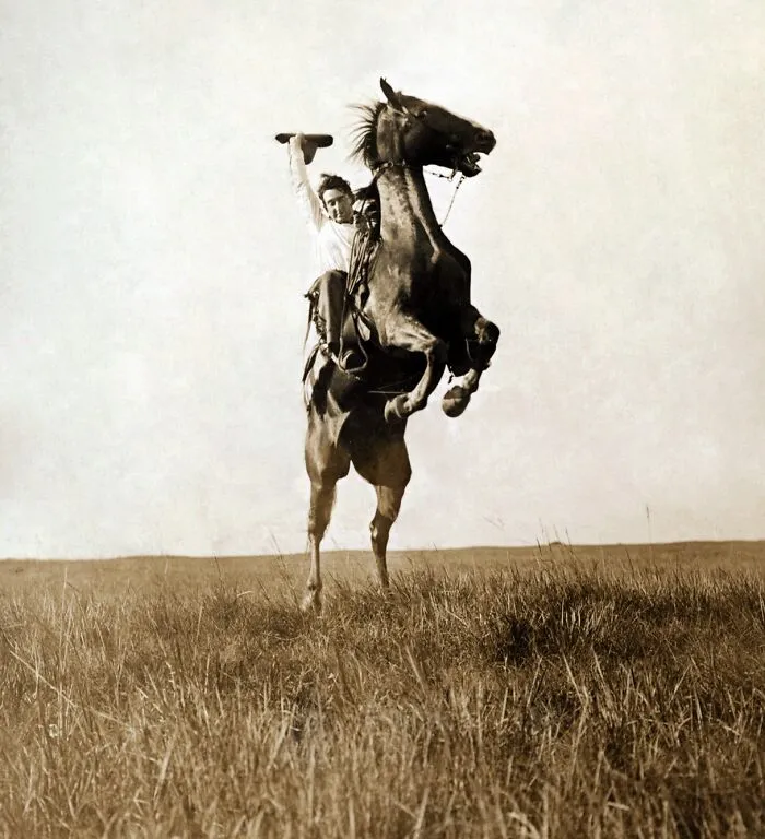 Plunging Bronco, Bar Diamond Bar Range, Circa 1909