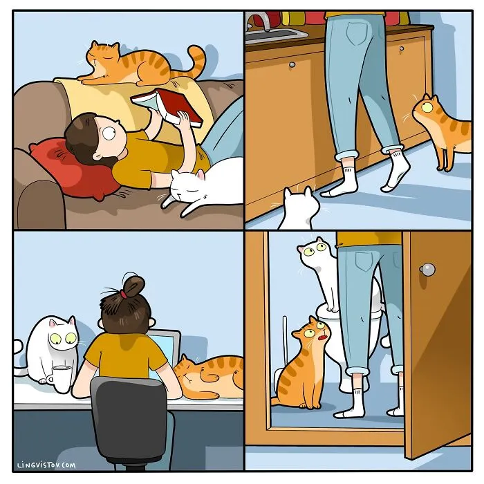 45 Funny And Relatable Comics About The Reality Of Having A Cat By Lingvistov (New Pics)