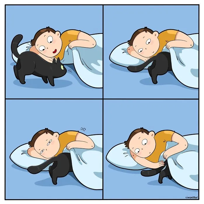 45 Funny And Relatable Comics About The Reality Of Having A Cat By Lingvistov (New Pics)