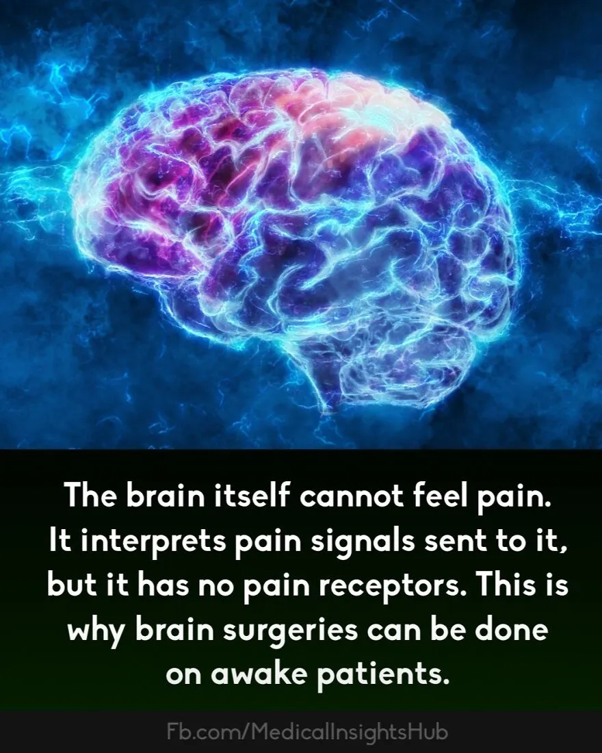 50 Cool And Interesting Medical Facts You Might Not Know About Your Own Body And Health