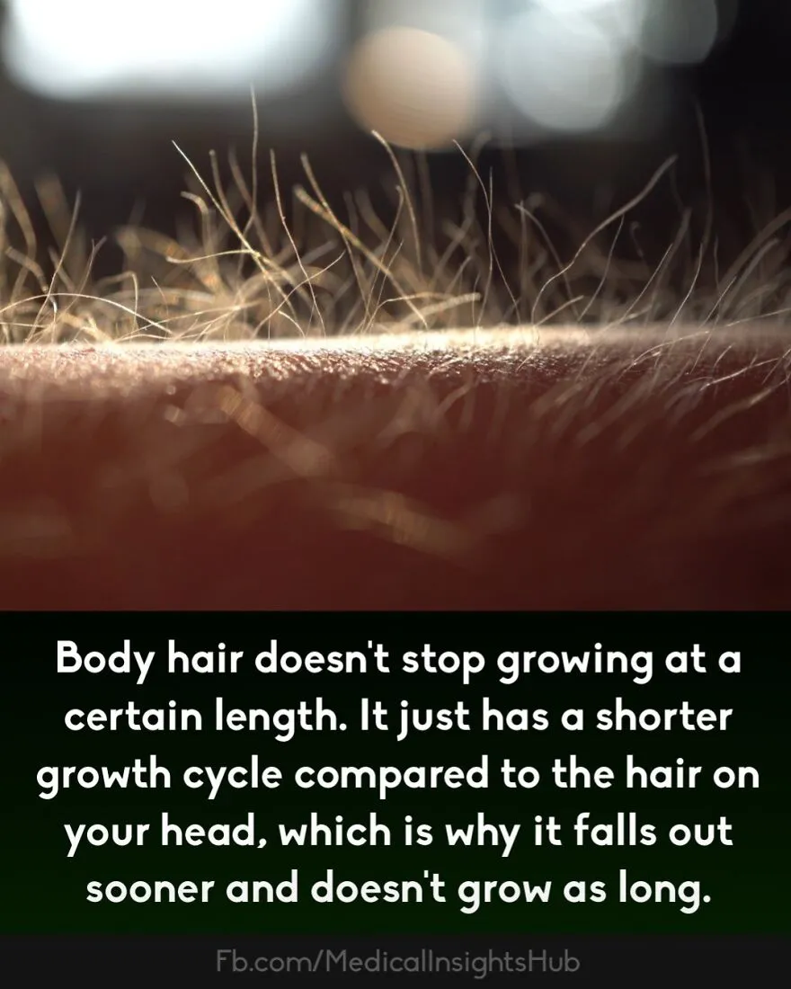 Close-up of body hair growth showing fine hairs on skin, illustrating curious medical facts about fingers containing no muscles.