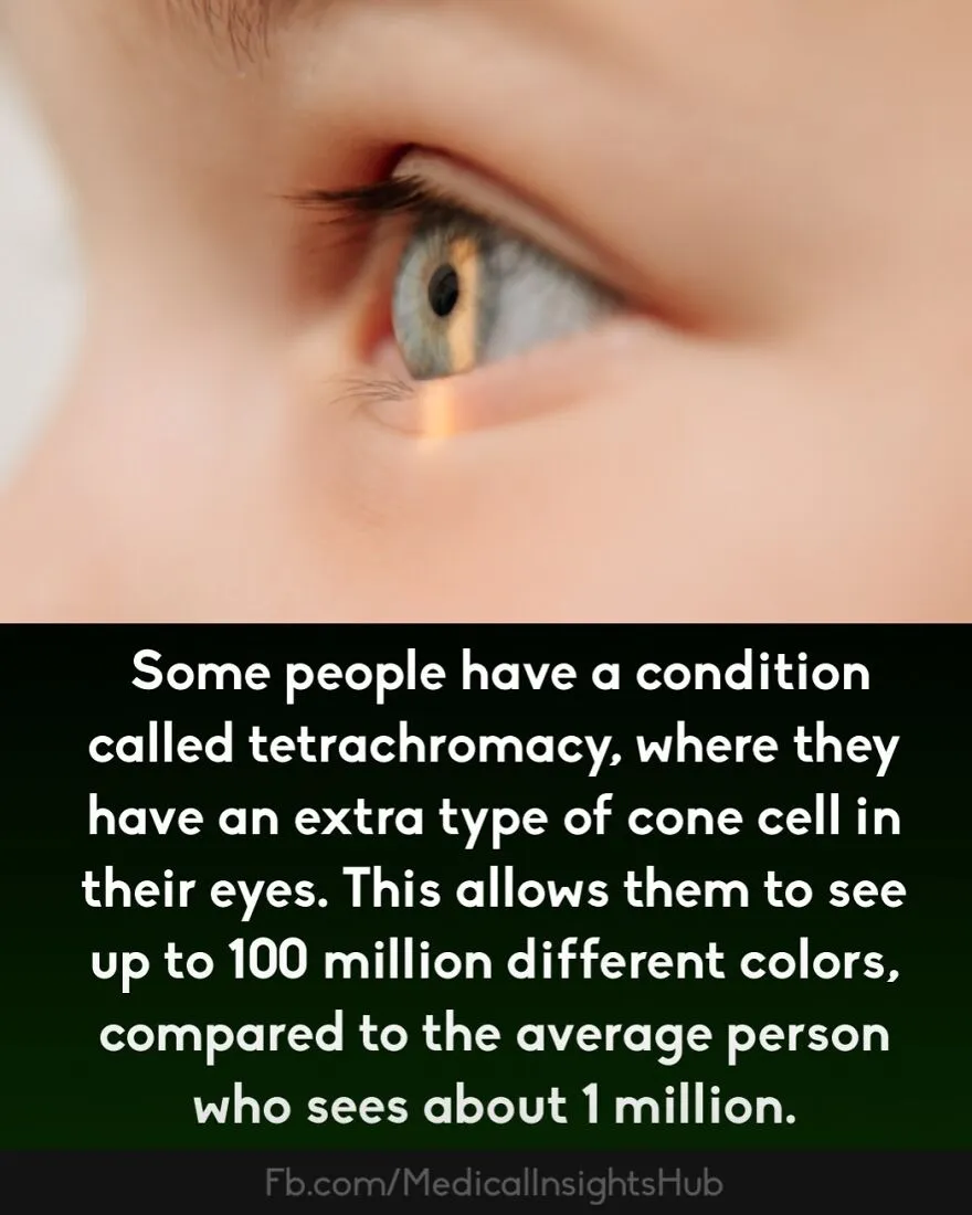 Close-up of a human eye illustrating a medical fact about fingers containing no muscles and unique eye conditions like tetrachromacy.