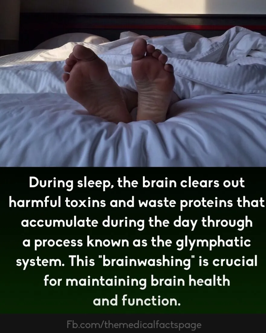 Feet sticking out from white bed sheets in soft morning light illustrating curious medical facts about fingers containing no muscles.
