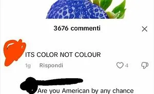 50 Times Americans Wrote Such Dumb Comments, The Internet Just Had To Shame Them