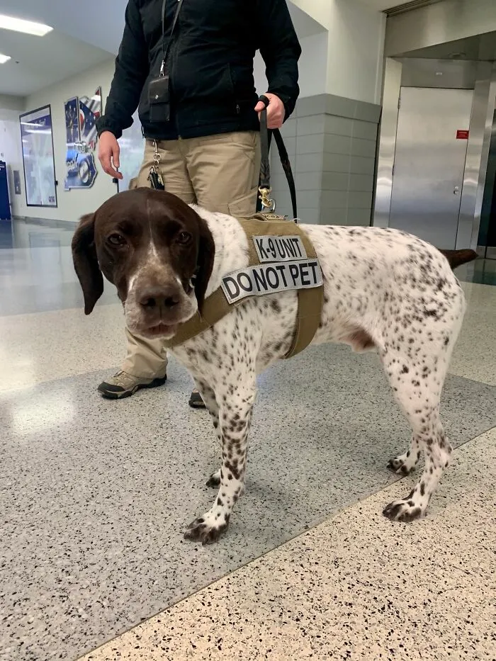 35 ‘Suspicious’ Items Found By Airport Security Workers That Turned Out To Be Legal