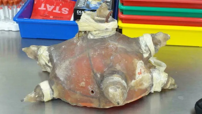 Disturbing object with taped protrusions on a table surrounded by colorful trays, evoking unsettling feelings in photos.