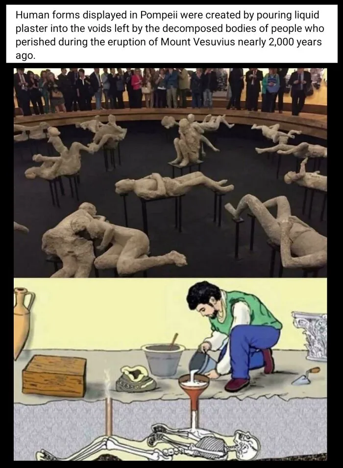 Human Forms Displayed In Pompeii That Show Their Finals Moments, Before Being Covered By The Earth Around Them