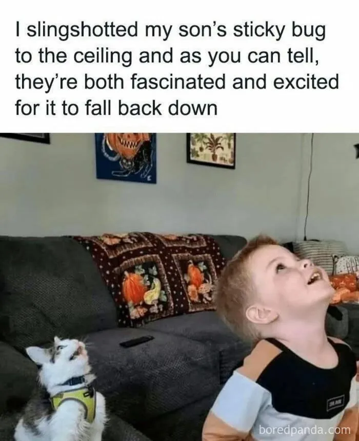 50 Unhinged Tumblr Posts That Are Just The Right Kind Of Chaotic (New Pics)