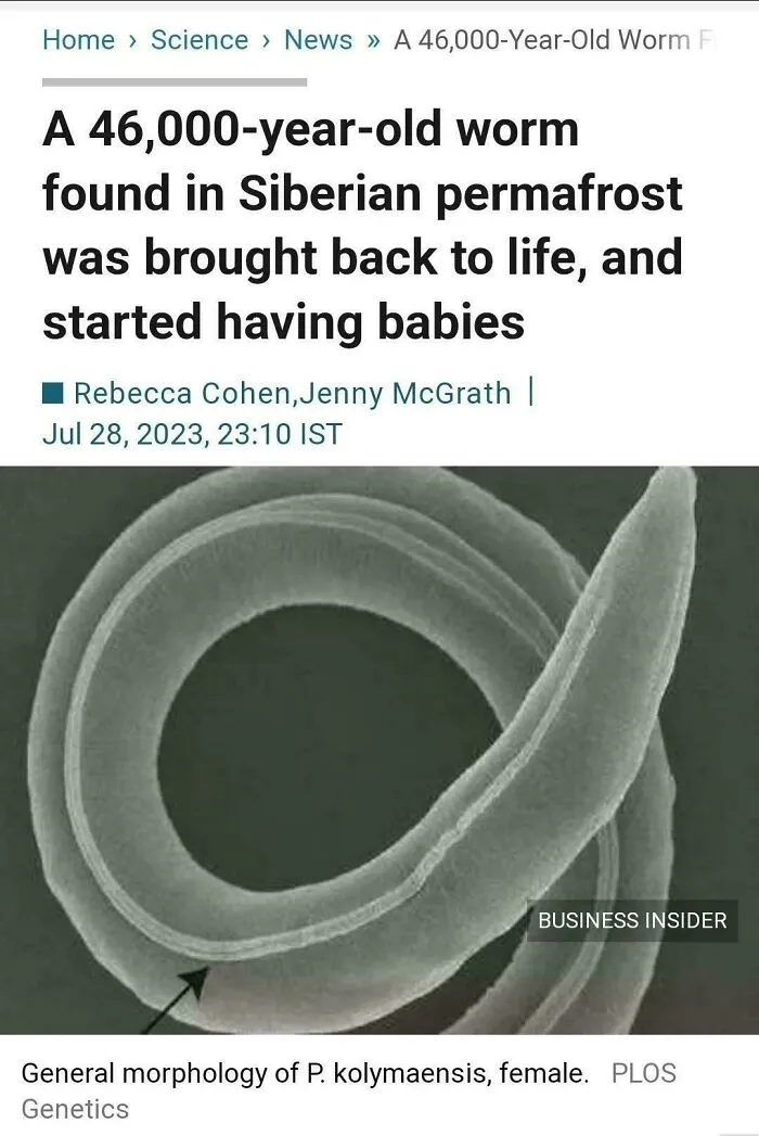 Microscopic image of a 46,000-year-old worm revived from Siberian permafrost, a disturbing discovery in new pics.