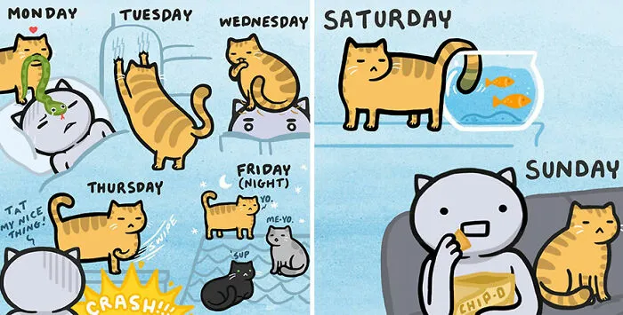 Artist Created 33 New Comics Showing That Life With Cats Is Equal Parts Adorable And Absurd