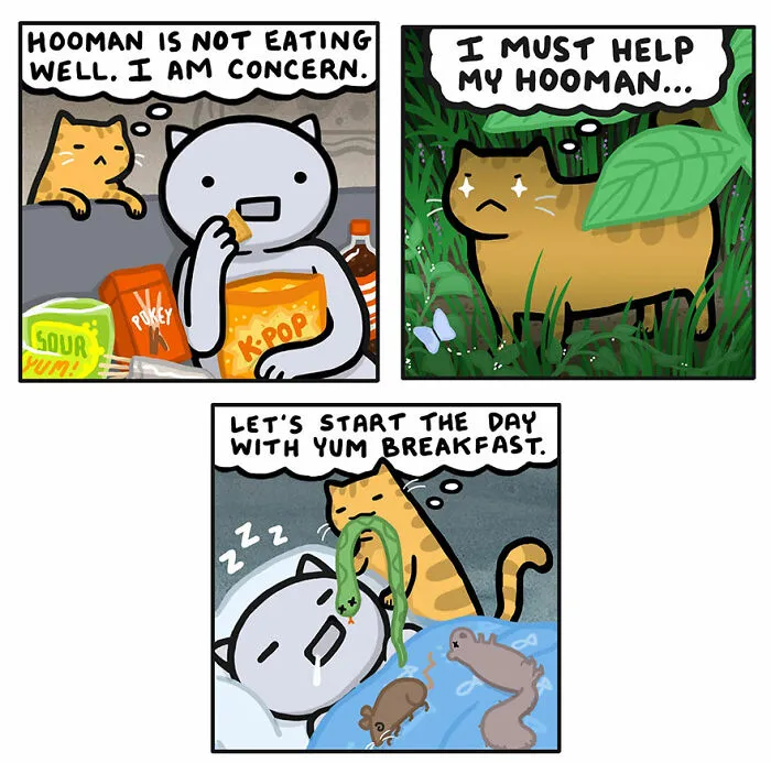Artist Created 33 New Comics Showing That Life With Cats Is Equal Parts Adorable And Absurd