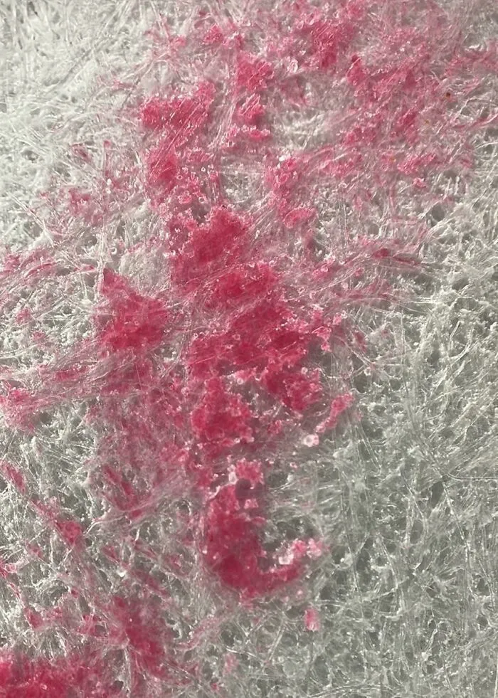 Red Crayon On Paper Under A 400x Microscope