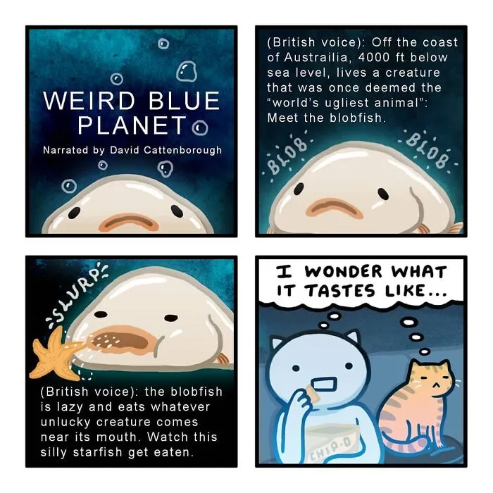 Artist Created 33 New Comics Showing That Life With Cats Is Equal Parts Adorable And Absurd