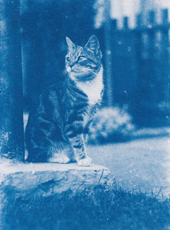 I Developed A 120-Year-Old Photo Found In A Time Capsule ( Full Story In Comments)