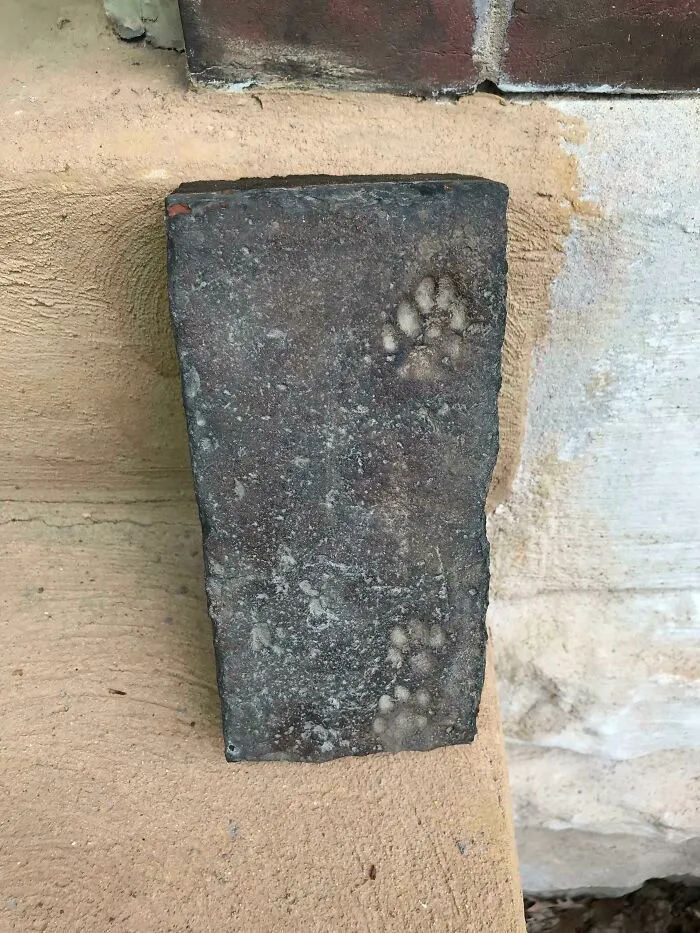 Was Sorting Though Some Old Brick That Was Left Over From Our 1890’s Townhouse, And Came Across This