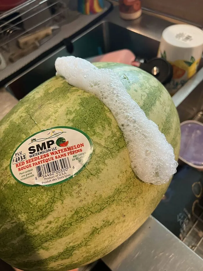 Le salen burbujas a la sandía