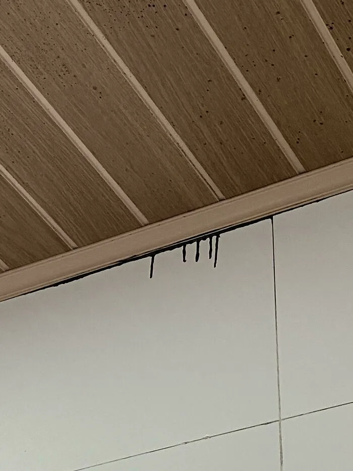 Estos mocos misteriosos salen del techo del baño