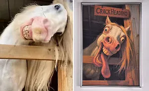 Artist Recreates Viral Animal Fails As Comical Caricatures (20 Pics)