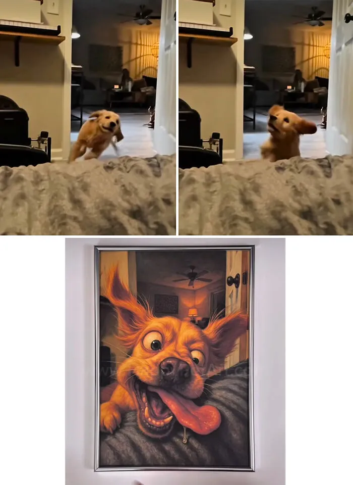 Artist Recreates Viral Animal Fails As Comical Caricatures (20 Pics)
