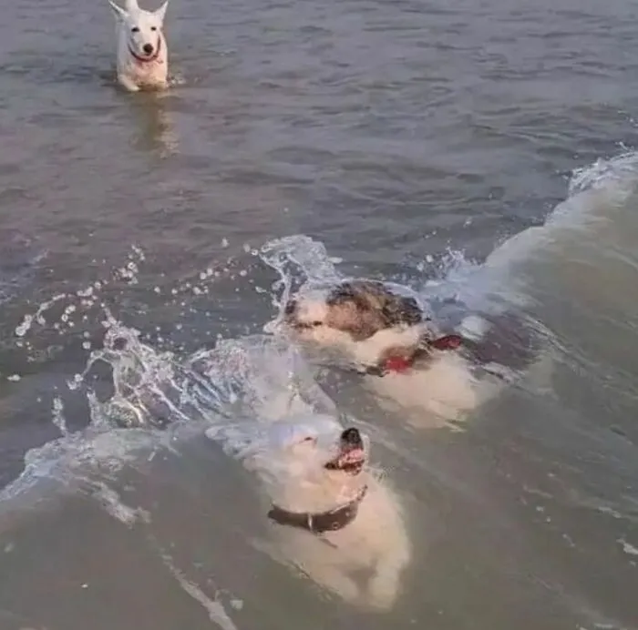 50 Awkward Photos That Are Almost Too Painful To Scroll Through