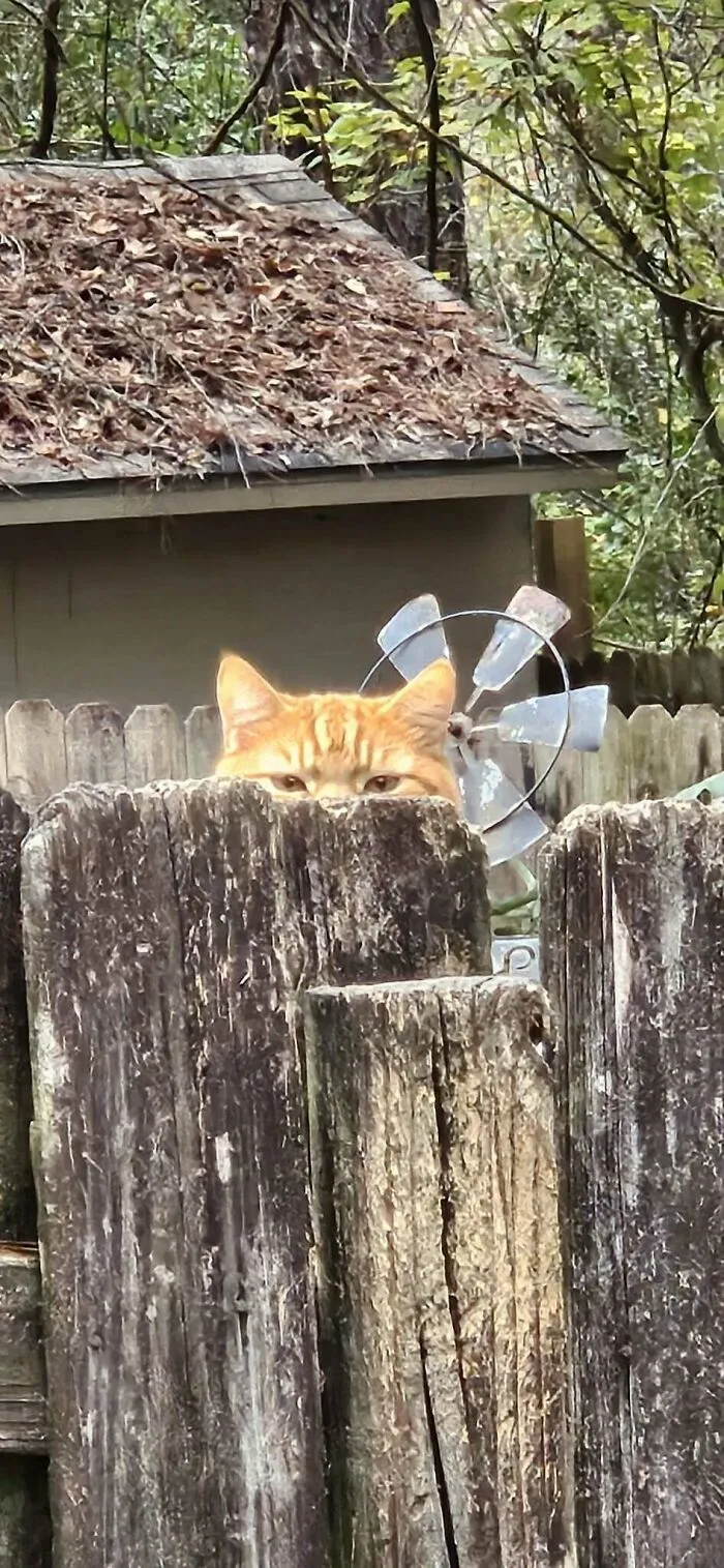 Had To Share This. While Bbqing