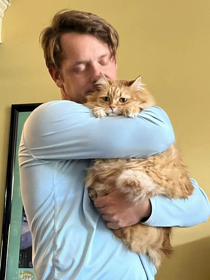 A Year Ago, An Elderly Lady Passed Away, I Adopted Her Two 7 Yo Oranges, And Life’s Been Great For All Of Us