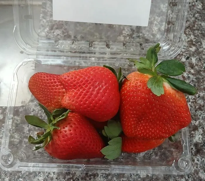 When Your Taste Buds Stage A Tiny Protest Demanding Something Bright, Juicy, And Unapologetically Delicious, A <a Style="Display:inline;" Href="Https://Www.amazon.com/Fresh-Produce-Brands-May-Vary/Dp/B000p6j0sm?ie=utf8&th=1&linkcode=ll1&tag=bpferret-20&linkid=58d4bbceae157104f10261468a433e2e&language=en_us&ref_=as_li_ss_tl" Target="_blank"><span Style="Font: Inherit; Color: #d74b1f;"> 1lb Of Strawberries</Span> Is Basically The Sweetest Peace Offering You Can Make
