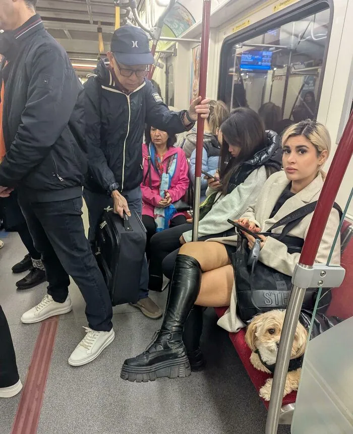 Woman Puts Dog On Subway Seat Intended For The Elderly