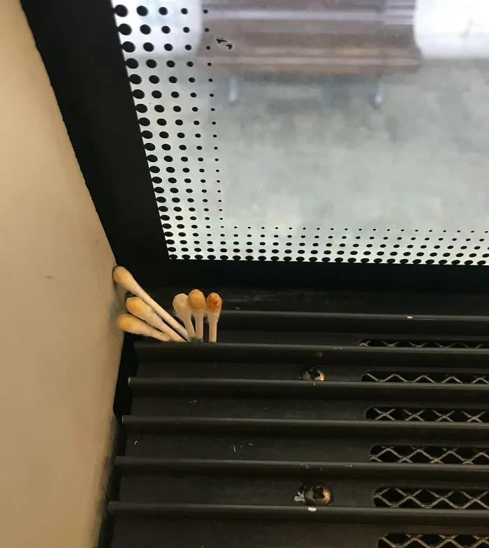 Someone Left These Used Cotton Swabs On This Train Window