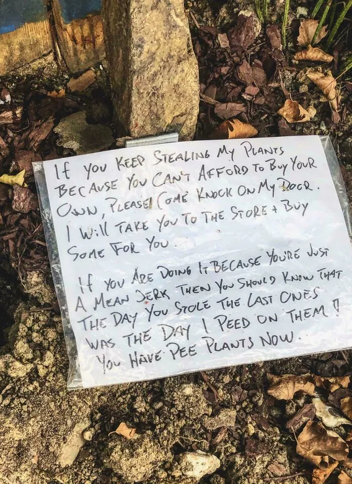 Found In Neighbor’s Yard