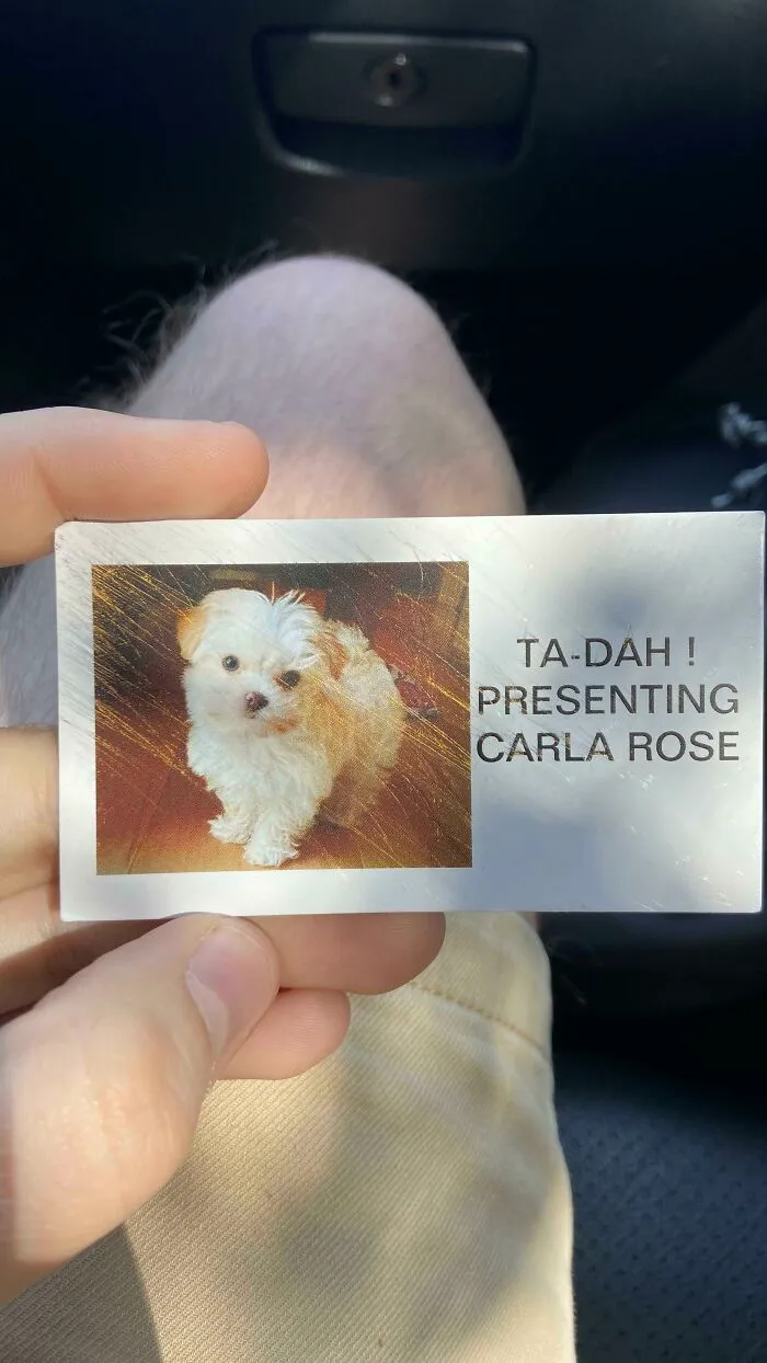 Found On The Floor Of A Target. Reddit, Meet Carla Rose